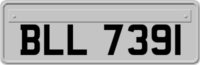 BLL7391