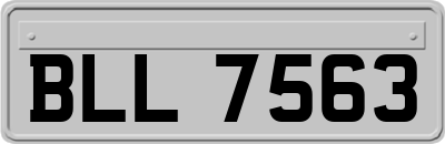 BLL7563