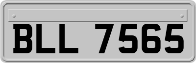 BLL7565