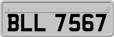 BLL7567