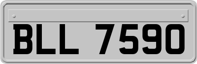 BLL7590