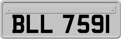 BLL7591