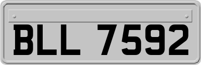 BLL7592