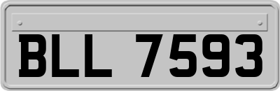 BLL7593