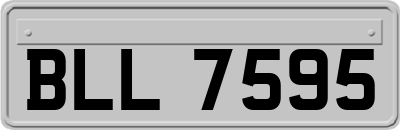 BLL7595