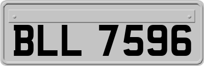 BLL7596