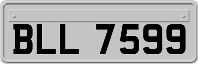 BLL7599