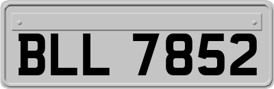 BLL7852