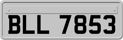 BLL7853