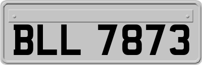 BLL7873
