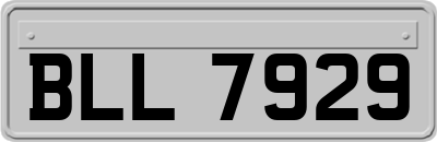 BLL7929