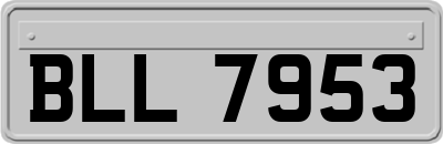 BLL7953