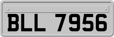 BLL7956