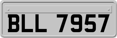 BLL7957