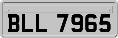 BLL7965