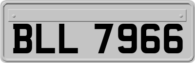 BLL7966