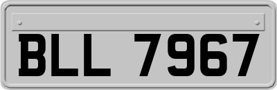 BLL7967