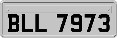 BLL7973
