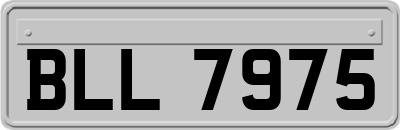 BLL7975