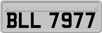 BLL7977