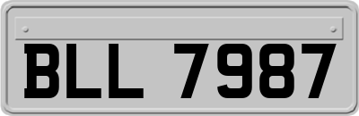BLL7987