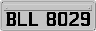 BLL8029