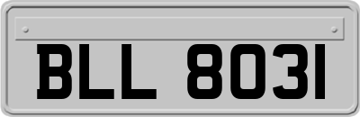 BLL8031