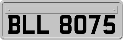BLL8075