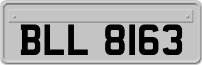 BLL8163