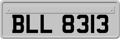 BLL8313