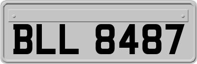 BLL8487
