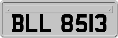 BLL8513