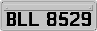 BLL8529