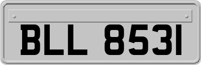 BLL8531