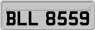 BLL8559