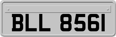 BLL8561