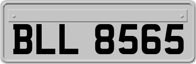 BLL8565