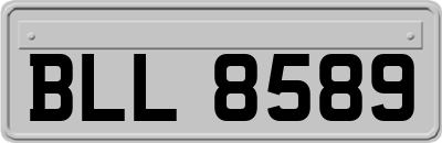 BLL8589