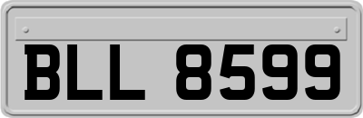 BLL8599