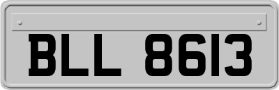 BLL8613