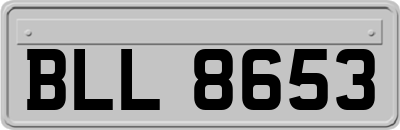 BLL8653