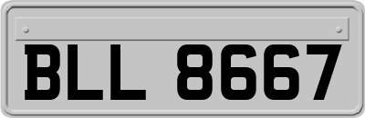 BLL8667