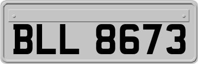 BLL8673