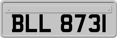 BLL8731