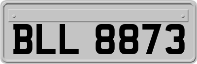 BLL8873