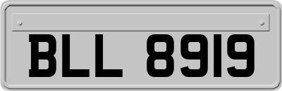 BLL8919
