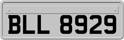 BLL8929