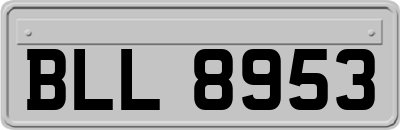 BLL8953