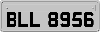 BLL8956