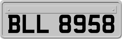 BLL8958